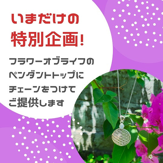 生命の神秘》バリ島のシルバー職人手作り フラワー・オブ・ライフ